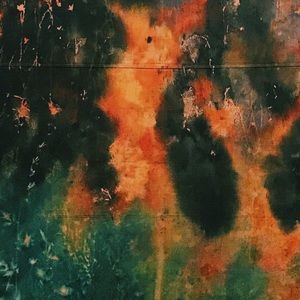 Meet your Posher, Mia